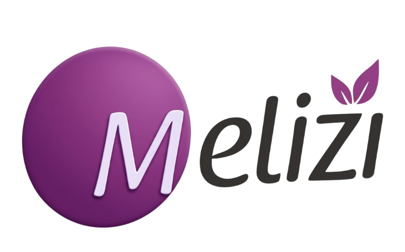 Melizi Logo